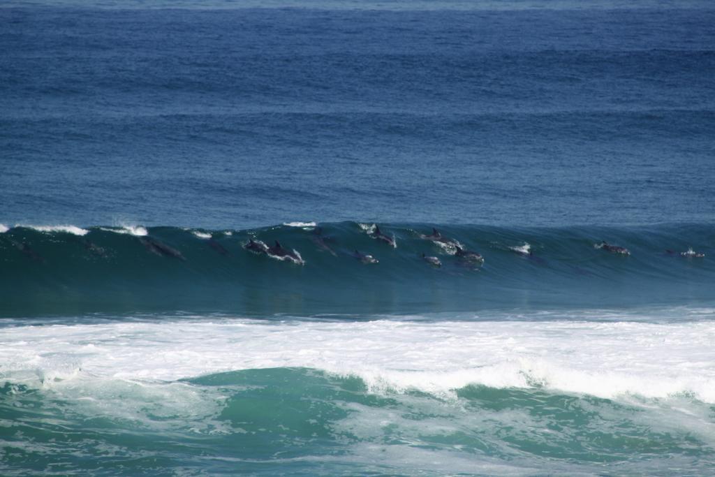 Murphys Port Elizabeth Zewnętrze zdjęcie